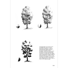 Drawing - A Complete Guide: Nature i gruppen Hobby & Kreativitet / Bøker / Inspirasjonsbøker hos Pen Store (136307)