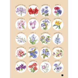 Draw 100: Flowers i gruppen Hobby & Kreativitet / Bøker / Inspirasjonsbøker hos Pen Store (136315)
