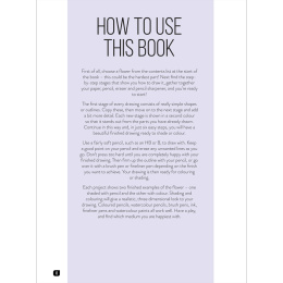 Draw 100: Flowers i gruppen Hobby & Kreativitet / Bøker / Inspirasjonsbøker hos Pen Store (136315)