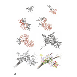 Draw 100: Flowers i gruppen Hobby & Kreativitet / Bøker / Inspirasjonsbøker hos Pen Store (136315)