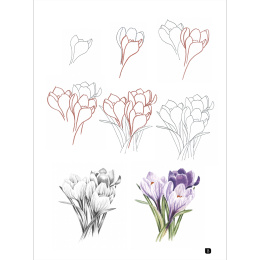 Draw 100: Flowers i gruppen Hobby & Kreativitet / Bøker / Inspirasjonsbøker hos Pen Store (136315)