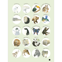 Draw 100: Animals i gruppen Hobby & Kreativitet / Bøker / Inspirasjonsbøker hos Pen Store (136316)