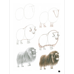 Draw 100: Animals i gruppen Hobby & Kreativitet / Bøker / Inspirasjonsbøker hos Pen Store (136316)
