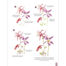 Paint 50: Watercolour Flowers i gruppen Hobby & Kreativitet / Bøker / Instruksjonsbøker hos Pen Store (136318)