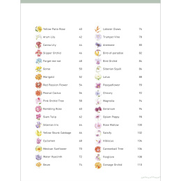 Paint 50: Watercolour Flowers i gruppen Hobby & Kreativitet / Bøker / Instruksjonsbøker hos Pen Store (136318)