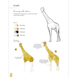 Paint 50: Watercolour Animals i gruppen Hobby & Kreativitet / Bøker / Instruksjonsbøker hos Pen Store (136319)