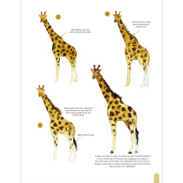 Paint 50: Watercolour Animals i gruppen Hobby & Kreativitet / Bøker / Instruksjonsbøker hos Pen Store (136319)