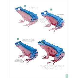 Paint 50: Watercolour Animals i gruppen Hobby & Kreativitet / Bøker / Instruksjonsbøker hos Pen Store (136319)