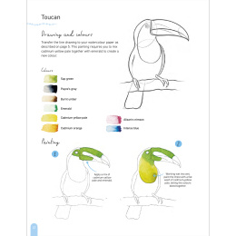 Paint 50: Watercolour Animals i gruppen Hobby & Kreativitet / Bøker / Instruksjonsbøker hos Pen Store (136319)