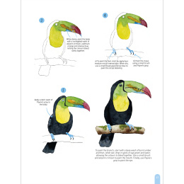 Paint 50: Watercolour Animals i gruppen Hobby & Kreativitet / Bøker / Instruksjonsbøker hos Pen Store (136319)