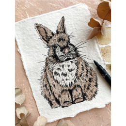 The Kew Book of Drawing Flora and Fauna i gruppen Hobby & Kreativitet / Bøker / Instruksjonsbøker hos Pen Store (136328)