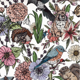 The Kew Book of Drawing Flora and Fauna i gruppen Hobby & Kreativitet / Bøker / Instruksjonsbøker hos Pen Store (136328)