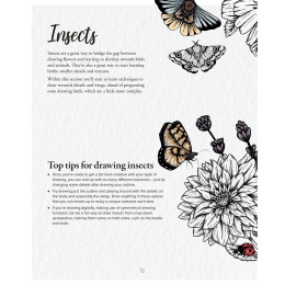 The Kew Book of Drawing Flora and Fauna i gruppen Hobby & Kreativitet / Bøker / Instruksjonsbøker hos Pen Store (136328)