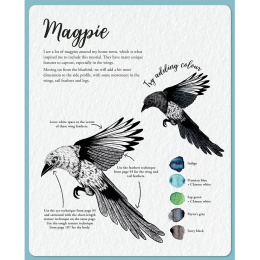 The Kew Book of Drawing Flora and Fauna i gruppen Hobby & Kreativitet / Bøker / Instruksjonsbøker hos Pen Store (136328)