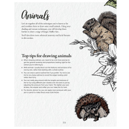 The Kew Book of Drawing Flora and Fauna i gruppen Hobby & Kreativitet / Bøker / Instruksjonsbøker hos Pen Store (136328)