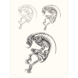 The Art of Fantasy i gruppen Hobby & Kreativitet / Bøker / Inspirasjonsbøker hos Pen Store (136331)