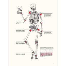 The Art of Fantasy i gruppen Hobby & Kreativitet / Bøker / Inspirasjonsbøker hos Pen Store (136331)