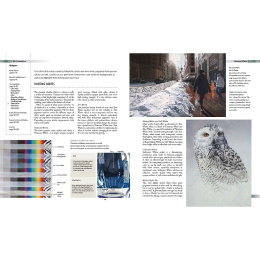 Complete Guide to Acrylics i gruppen Hobby & Kreativitet / Bøker / Instruksjonsbøker hos Pen Store (136334)