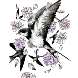 Illustration Akvarellsett i gruppen Kunstnermateriell / Kunstnerfarge / Akvarellmaling / Akvarellmaling i kopp hos Pen Store (136421)