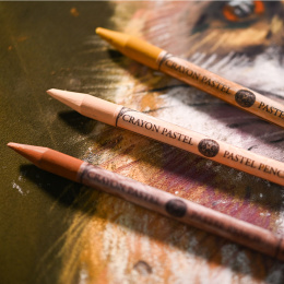 Pastellblyant i gruppen Penner / Kunstnerpenner / Pastellblyanter hos Pen Store (136529_r)