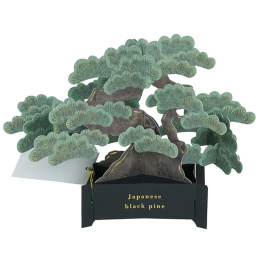 Bonsai popup-kort (Japanese black pine) i gruppen Hobby & Kreativitet / Høytider og sesong / Kort og konvolutter hos Pen Store (136616)