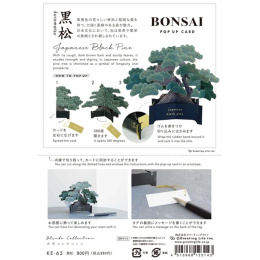 Bonsai popup-kort (Japanese black pine) i gruppen Hobby & Kreativitet / Høytider og sesong / Kort og konvolutter hos Pen Store (136616)
