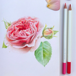 Irojiten Fargeblyant enkeltvis i gruppen Penner / Kunstnerpenner / Fargeblyanter hos Pen Store (136687_r)