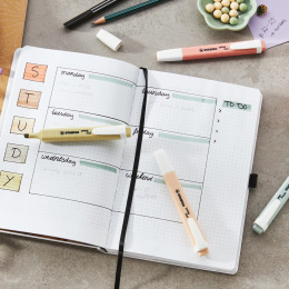 Swing Cool Nature 4-pakning i gruppen Penner / Merking og kontor / Markeringstusj hos Pen Store (136791)