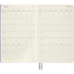 Kalender 18M WeekNote Hard Cover Large Alice in Wonderland i gruppen  Papir & Blokk / Kalendere / 18 md kalendere hos Pen Store (137025)
