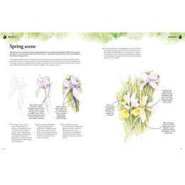 Learn to Draw in an Hour a Day i gruppen Hobby & Kreativitet / Bøker / Instruksjonsbøker hos Pen Store (137176)