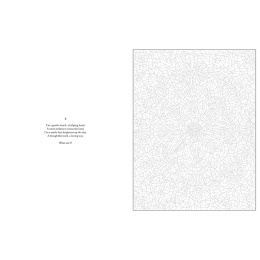 Mystery Coloring Mandalas i gruppen Hobby & Kreativitet / Bøker / Fargebøker for voksne hos Pen Store (137182)