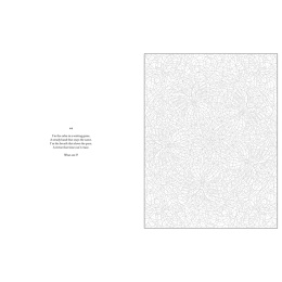 Mystery Coloring Mandalas i gruppen Hobby & Kreativitet / Bøker / Fargebøker for voksne hos Pen Store (137182)