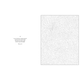 Mystery Coloring Wild Animals i gruppen Hobby & Kreativitet / Bøker / Fargebøker for voksne hos Pen Store (137183)