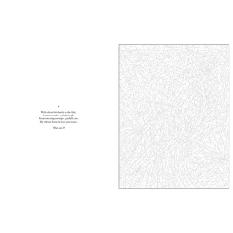 Mystery Coloring Wild Animals i gruppen Hobby & Kreativitet / Bøker / Fargebøker for voksne hos Pen Store (137183)