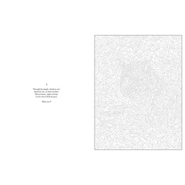 Mystery Coloring Wild Animals i gruppen Hobby & Kreativitet / Bøker / Fargebøker for voksne hos Pen Store (137183)