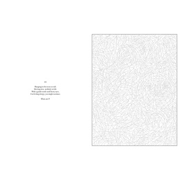 Mystery Coloring Wild Animals i gruppen Hobby & Kreativitet / Bøker / Fargebøker for voksne hos Pen Store (137183)