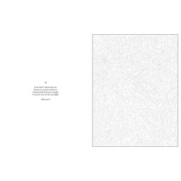 Mystery Coloring Wild Animals i gruppen Hobby & Kreativitet / Bøker / Fargebøker for voksne hos Pen Store (137183)