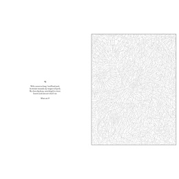 Mystery Coloring Wild Animals i gruppen Hobby & Kreativitet / Bøker / Fargebøker for voksne hos Pen Store (137183)