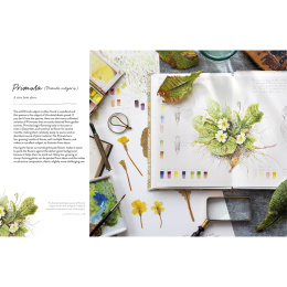 Sketching Nature i gruppen Hobby & Kreativitet / Bøker / Instruksjonsbøker hos Pen Store (137184)