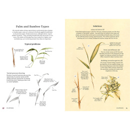 The Bedside Book of Watercolor Wisdom i gruppen Hobby & Kreativitet / Bøker / Inspirasjonsbøker hos Pen Store (137186)