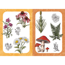 10 Step Drawing: Botanicals i gruppen Hobby & Kreativitet / Bøker / Instruksjonsbøker hos Pen Store (137196)