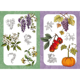10 Step Drawing: Botanicals i gruppen Hobby & Kreativitet / Bøker / Instruksjonsbøker hos Pen Store (137196)