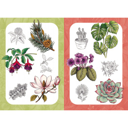 10 Step Drawing: Botanicals i gruppen Hobby & Kreativitet / Bøker / Instruksjonsbøker hos Pen Store (137196)