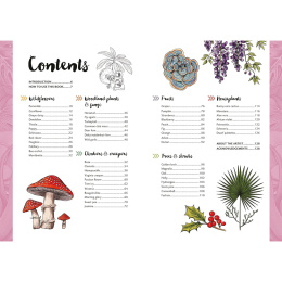 10 Step Drawing: Botanicals i gruppen Hobby & Kreativitet / Bøker / Instruksjonsbøker hos Pen Store (137196)