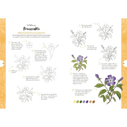 10 Step Drawing: Botanicals i gruppen Hobby & Kreativitet / Bøker / Instruksjonsbøker hos Pen Store (137196)