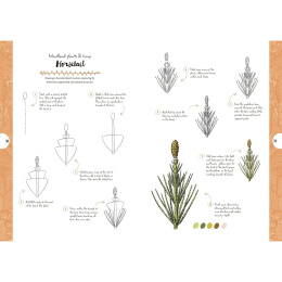 10 Step Drawing: Botanicals i gruppen Hobby & Kreativitet / Bøker / Instruksjonsbøker hos Pen Store (137196)