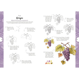10 Step Drawing: Botanicals i gruppen Hobby & Kreativitet / Bøker / Instruksjonsbøker hos Pen Store (137196)