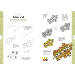 10 Step Drawing: Botanicals i gruppen Hobby & Kreativitet / Bøker / Instruksjonsbøker hos Pen Store (137196)
