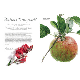 Anna Mason's Watercolour World i gruppen Hobby & Kreativitet / Bøker / Inspirasjonsbøker hos Pen Store (137202)