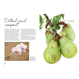 Anna Mason's Watercolour World i gruppen Hobby & Kreativitet / Bøker / Inspirasjonsbøker hos Pen Store (137202)